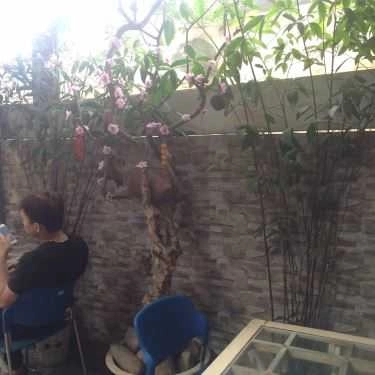Tổng hợp- Ngọc Anh Cafe - Phạm Nhữ Tăng