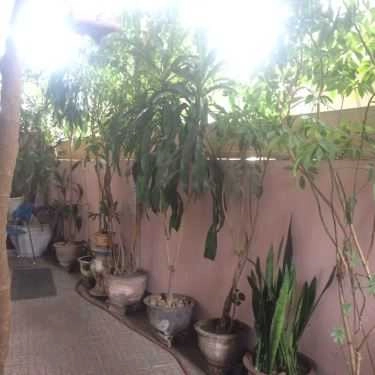 Không gian- Ngọc Anh Cafe - Phạm Nhữ Tăng