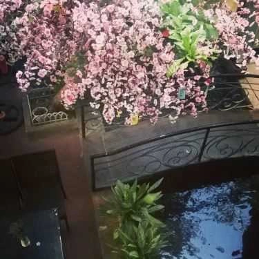 Tổng hợp- Cafe Peek A Boo - Drink & Ice