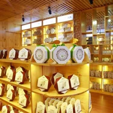 Tổng hợp- Cafe Showroom Bilicom - Dừa Viconut