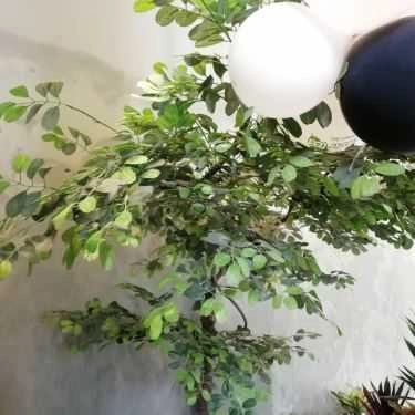 Tổng hợp- Cafe Taste Tea Đà Nẵng