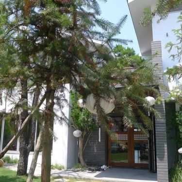Không gian- Cafe Thanh Chân Trà Đạo