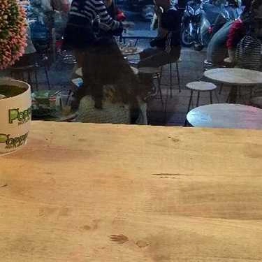 Tổng hợp- Cafe Popping Tea - Hoàng Hoa Thám - Đà Nẵng