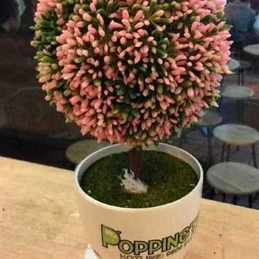 Tổng hợp- Cafe Popping Tea - Hoàng Hoa Thám - Đà Nẵng
