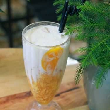 Professional- Lam Hân - Coffee & Milk Tea