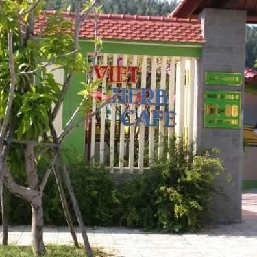 Tổng hợp- Viet Herb Cafe
