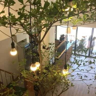 Tổng hợp- Cafe XICHA - Taiwan Cheese Tea - Nguyễn Văn Thoại