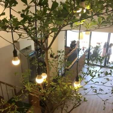 Tổng hợp- Cafe XICHA - Taiwan Cheese Tea - Nguyễn Văn Thoại
