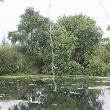 Tổng hợp- Quán Ăn Bánh Tráng Đập - Hội An