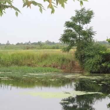 Tổng hợp- Quán Ăn Bánh Tráng Đập - Hội An