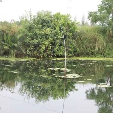 Tổng hợp- Quán Ăn Bánh Tráng Đập - Hội An