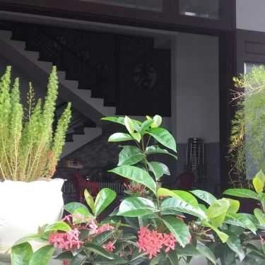 Tổng hợp- Quán Ăn Cô Anh - Bánh Xèo Sông Hoài