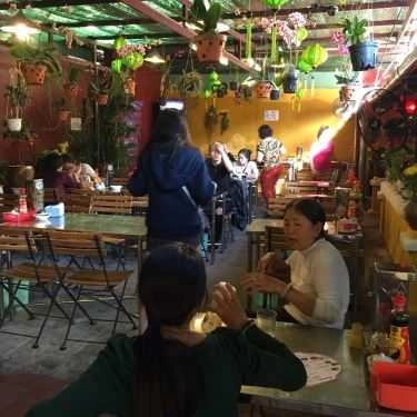 Tổng hợp- Quán Ăn Cao Lầu - Không Gian Xanh