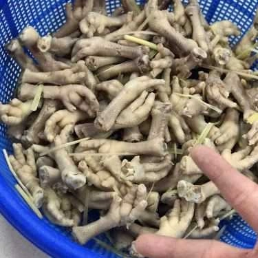 Tổng hợp- Quán Ăn Chân Gà Sả Ớt Rio - Shop Online