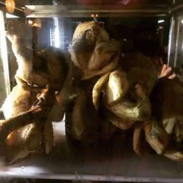 Tổng hợp- Quán Ăn Cơm Gà Hương