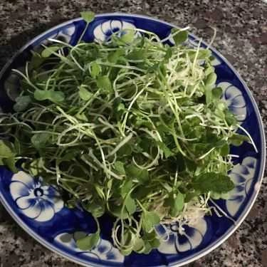 Món ăn- Quán Ăn Mì Gà Bình Tú - Đặc Sản Quảng Nam