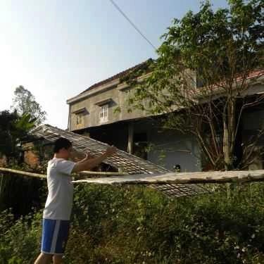 Tổng hợp- Quán Ăn Mì Quảng Công