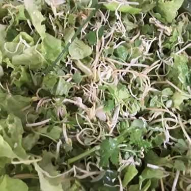 Tổng hợp- Quán Ăn Cao Lầu & Mì Quảng Bích