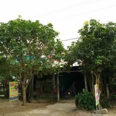 Tổng hợp- Quán Ăn Mì Quảng Công