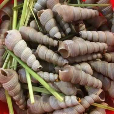 Món ăn- Quán Ăn Phố Ốc 2 Hội An