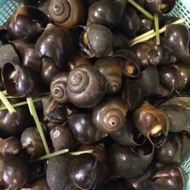 Món ăn- Quán Ăn Phố Ốc 2 Hội An