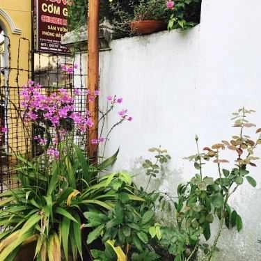 Tổng hợp- Quán Ăn Phở Tùng