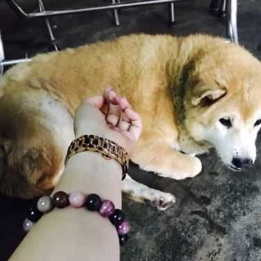Tổng hợp- Quán Ăn Phở Tùng