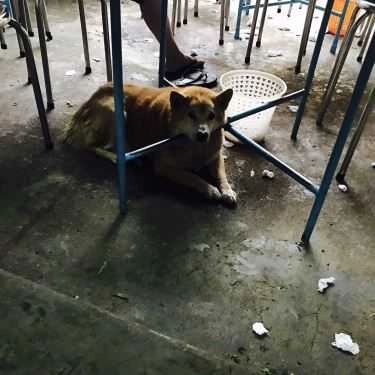 Tổng hợp- Quán Ăn Phở Tùng
