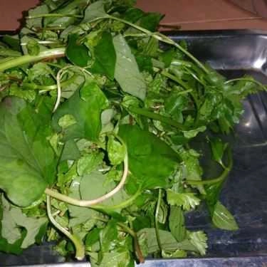 Tổng hợp- Quán Ăn Cô Liên - Bánh Tráng Thịt Heo Đại Lộc