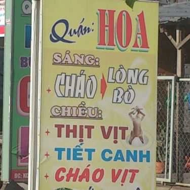 Tổng hợp- Quán Ăn Quán Hoa - Cháo Lòng & Thịt Vịt