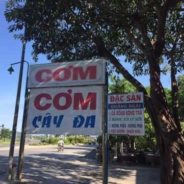 Tổng hợp- Quán Ăn Cơm Cây Đa