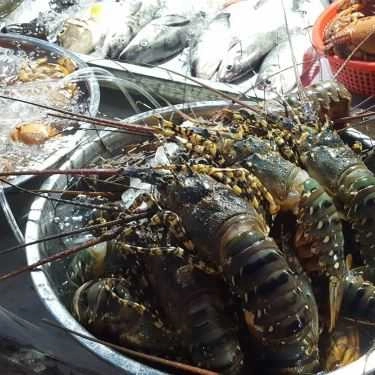 Tổng hợp- Quán Ăn Hải Sản Biển Nhớ