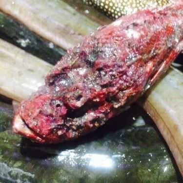 Tổng hợp- Quán Ăn Hải Sản Biển Nhớ