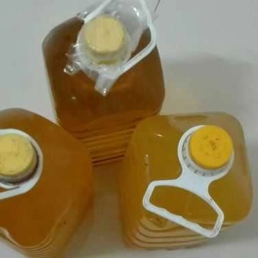 Tổng hợp- Quán Ăn Mì Gà Kỳ Lý - Đặc Sản Quảng Nam