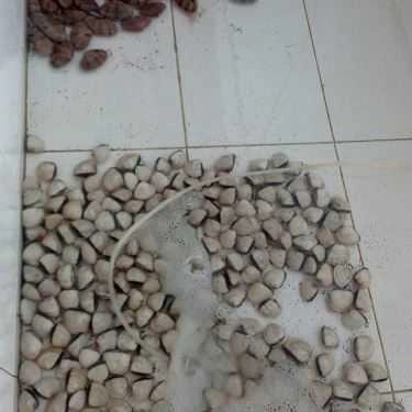 Tổng hợp- Quán Ăn Quán Số 20 Anh Sang