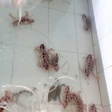 Tổng hợp- Quán Ăn Quán Số 20 Anh Sang
