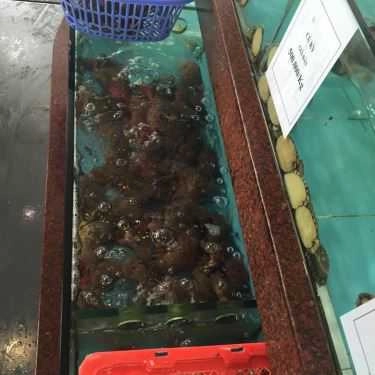 Tổng hợp- Nhà Hàng Bảo Long - Hải Sản Tươi Sống & Đặc Sản Rừng