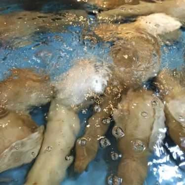 Tổng hợp- Nhà Hàng Bảo Long - Hải Sản Tươi Sống & Đặc Sản Rừng