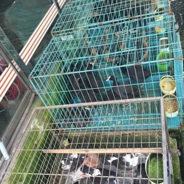 Tổng hợp- Nhà Hàng Bảo Long - Hải Sản Tươi Sống & Đặc Sản Rừng
