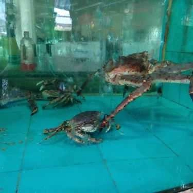Tổng hợp- Nhà Hàng Bảo Long - Hải Sản Tươi Sống & Đặc Sản Rừng