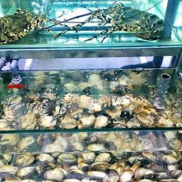 Tổng hợp- Nhà Hàng Đại Long - Đặc Sản Rừng Biển
