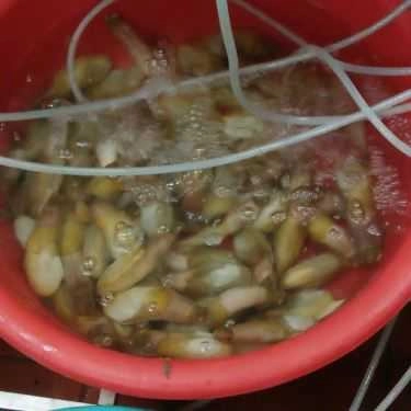 Tổng hợp- Nhà Hàng Hải Sản Thủy Chung