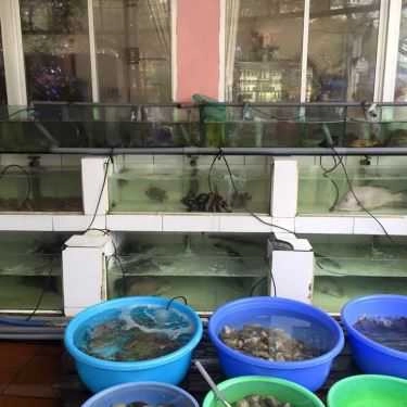 Tổng hợp- Nhà Hàng Hải Sản Thủy Chung