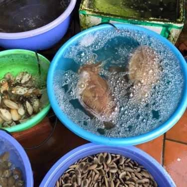 Tổng hợp- Nhà Hàng Hải Sản Thủy Chung