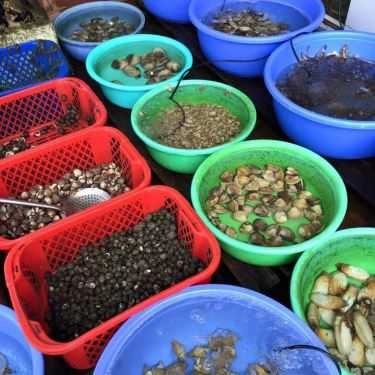 Tổng hợp- Nhà Hàng Hải Sản Thủy Chung