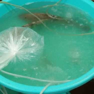 Tổng hợp- Nhà Hàng Hải Sản Thủy Chung