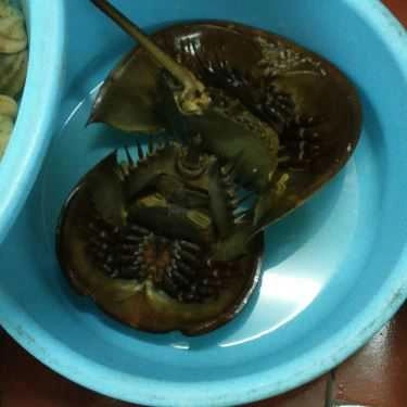 Tổng hợp- Nhà Hàng Hải Sản Thủy Chung
