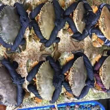 Tổng hợp- Nhà Hàng Hải Sản Thủy Chung
