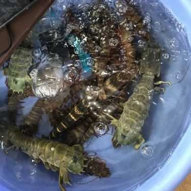 Món ăn- Nhà Hàng Hải Sản Toản Hường - Vườn Đào