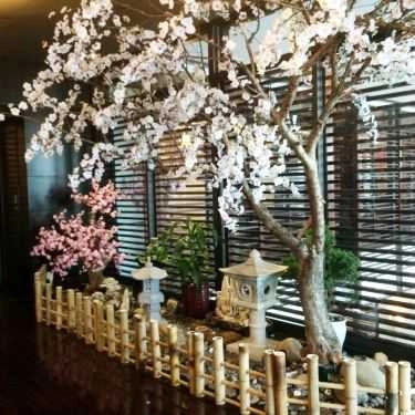 Tổng hợp- Hana Hana - Nhà Hàng Nhật Bản - Royal Lotus Hotel Halong